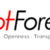 Hot Forex